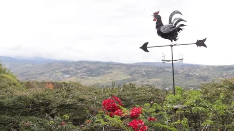 Rooster weather vane facing southeast in country side Stock Footage 122308113