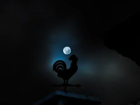 Rooster weather vane Stock Photos