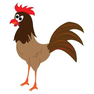Rooster on white background Stock Illustration