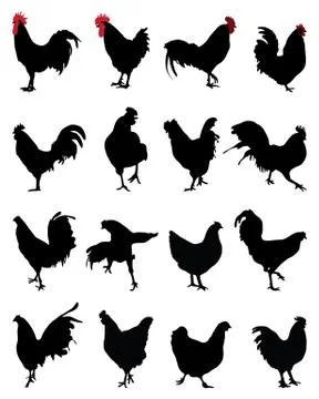 Roosters and hens Stock Illustration