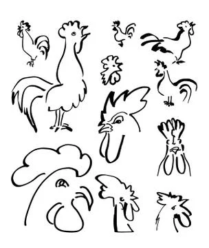 Roosters doodles Stock Illustration