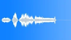 Rooster,TJ,CockaDoodleDoo,Close 2Sound Effect