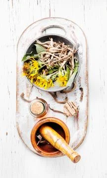 Root and tincture of elecampane Stock Photos