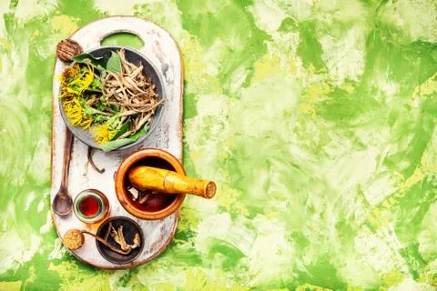 Root and tincture of elecampane Stock Photos