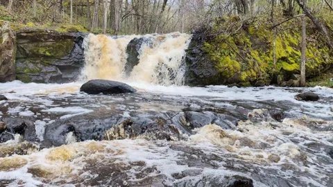 Root Beer Falls Landscape Michigan Video stock 275566211