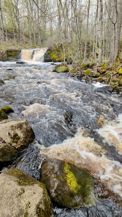 Root Beer Falls in Michigan Stock Footage 278718747