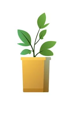 Root in box. Seedling garden plants. Sowing agricultural material. Isolated o Illustration