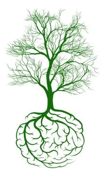 Root brain concept Illustrazione stock
