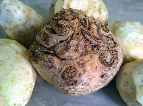 Root Celery Flavored Celery Stock Photos