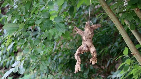 The root of the figure's shape hangs from a rope tied to a tree Stock Footage 265130371
