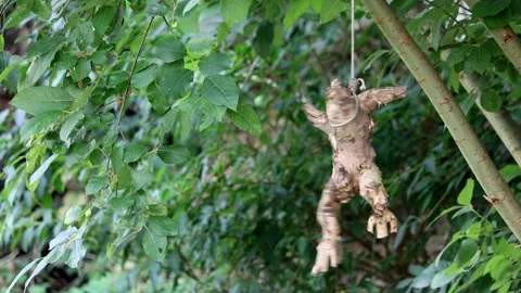 The root of the figure's shape hangs from a rope tied to a tree Stock Footage 278290846