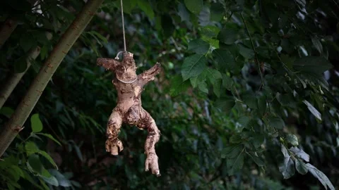 The root of the figure's shape hangs from a rope tied to a tree Stock Footage 282773534
