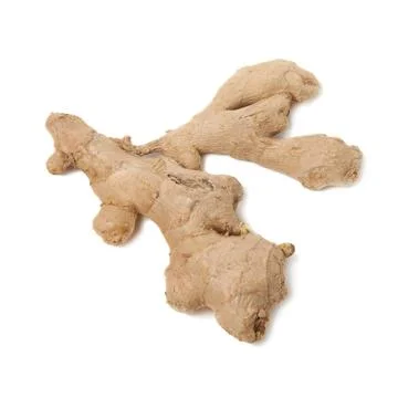 Root ginger isolated on a white studio background Foto stock