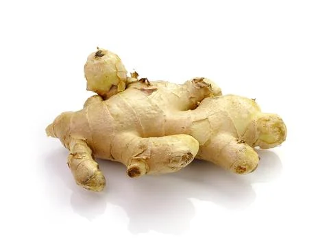 Root ginger isolated on a white studio background. Stock Photos