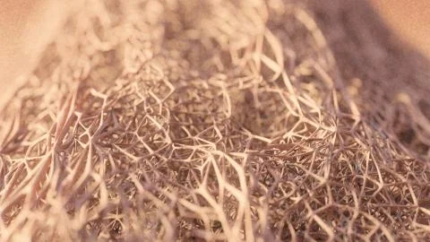 Root Grid Illustrazione stock