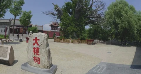 The root of Han nations Video stock 77962388