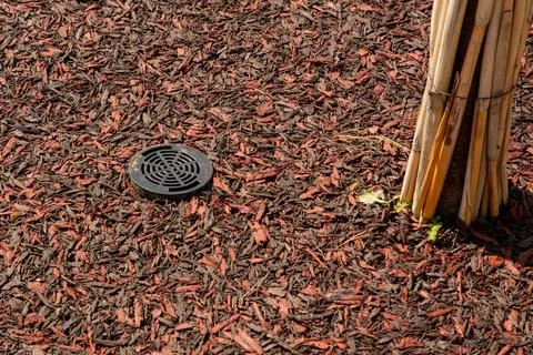 Root irrigation system. plastic lid of irrigation system on Rubber mulch Stock Photos