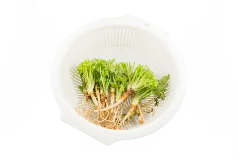 Root of parsley in a basket Stock Photos
