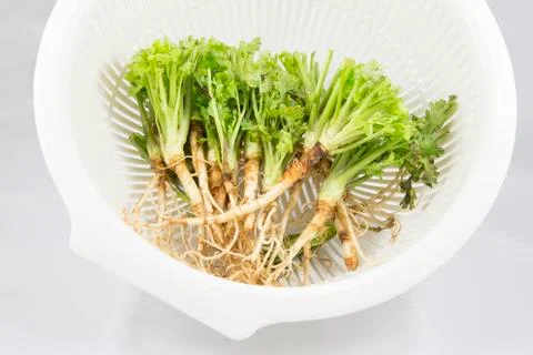Root of parsley in a basket Stock Photos
