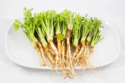 Root of parsley Foto stock