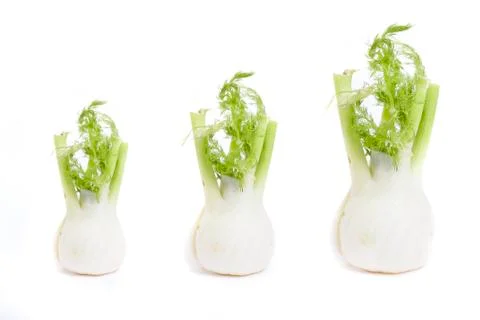 Root of parsley on a white background. Stock Photos