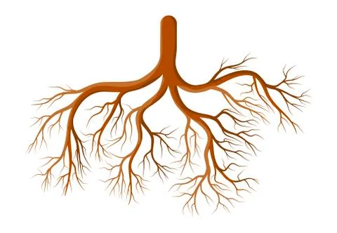 Root plant  cartoon vector symbol icon design. Beautiful illustration isola.. Stock Illustration