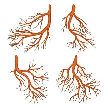 Root plant  cartoon vector symbol icon design. Beautiful illustration isola.. Stock Illustration