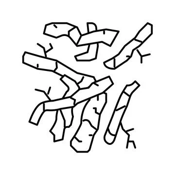 Root plant line icon vector illustration Stock Illustration