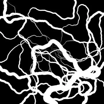 Root Plexus on Black - vector set Stock Illustration