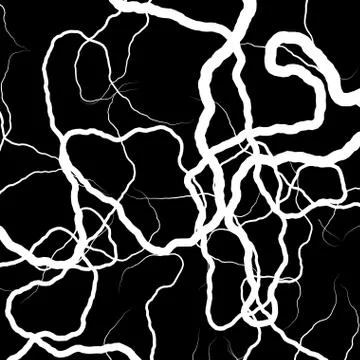 Root Plexus on Black - vector set Stock Illustration