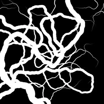 Root Plexus on Black - vector set Stock Illustration