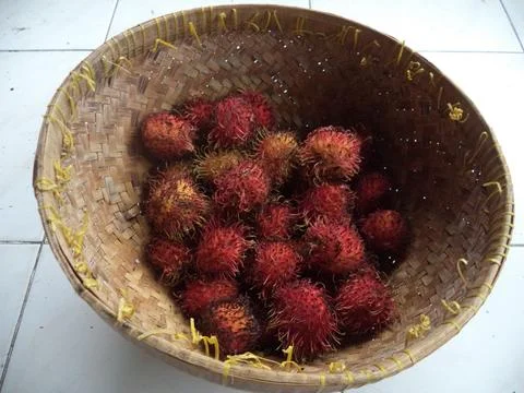 Root rambutan fruit 스톡 사진