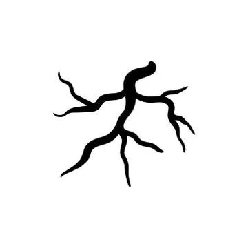 Root silhouette vector graphic design illustration Stock Illustration