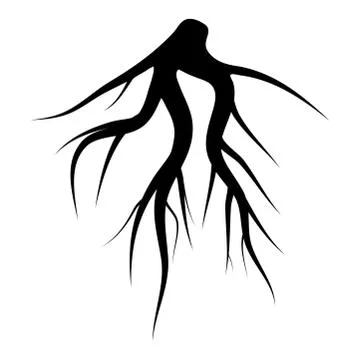 Root silhouette vector symbol icon design. Stock Illustration