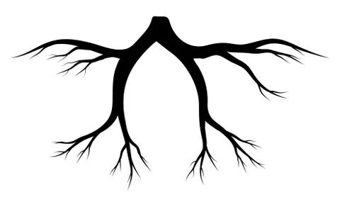 Root silhouette vector symbol icon design. Stock Illustration