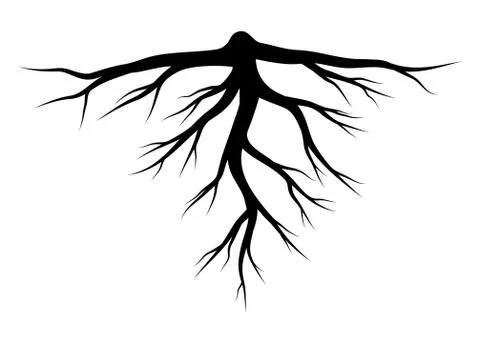 Root silhouette vector symbol icon design. Stock Illustration