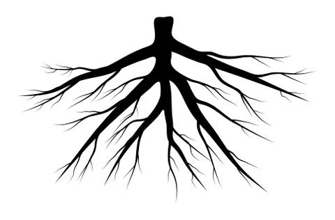Root silhouette vector symbol icon design. Stock Illustration