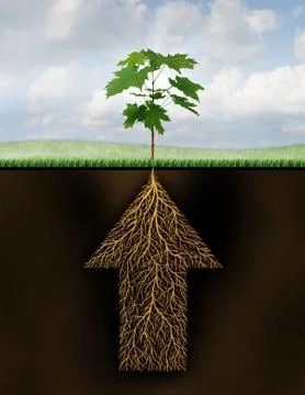 Root of success 스톡 일러스트