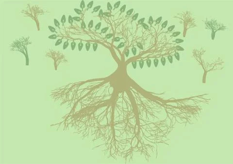 Root system Stock Illustration