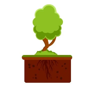 Root system of tree. Layer of earth and soil. Plant growth. Summer season. Stock Illustration