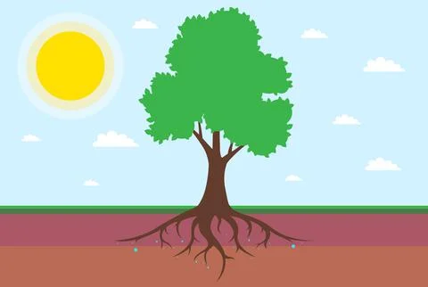 Root system of a tree with leaves. dividing the soil into a layer. Stock Illustration