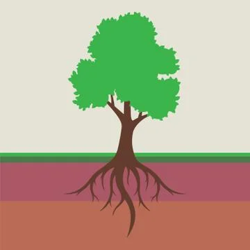 Root system of a tree with leaves Stock Illustration