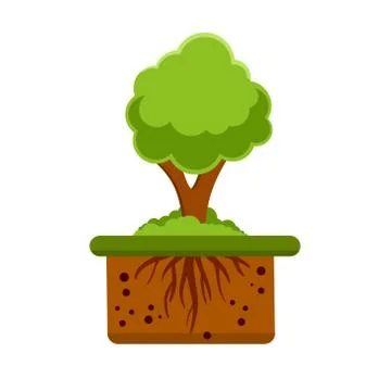 Root system of tree. Nature and forest. Layer of earth and soil Stock Illustration