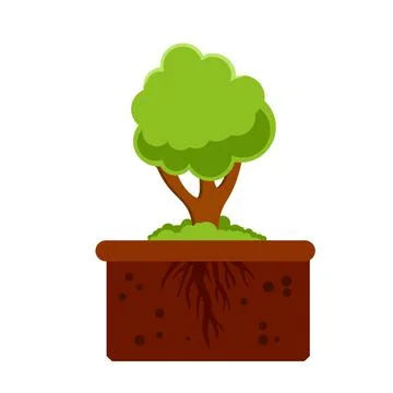 Root system of tree. Nature and forest. Layer of earth and soil. Stock Illustration