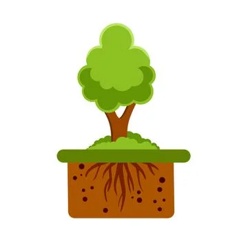 Root system of tree. Nature and forest. Plant growth. Summer season. Stock Illustration