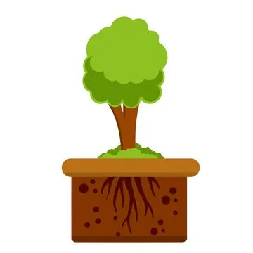Root system of tree. Nature and forest. Layer of earth and soil. Stock Illustration