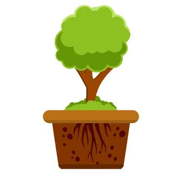 Root system of tree. Nature and forest. Layer of earth and soil. Stock Illustration
