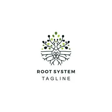 The Root System tree Technology logo Stock Illustration
