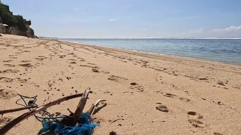 The root of a tree with a blue fishing net Stock Footage 227456888