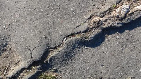 Root of the tree grows and makes its way through the asphalt Stock Photos
